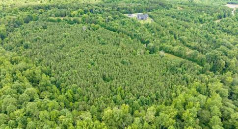 04-004-588RufusCBurnetteDr-Land-20250611