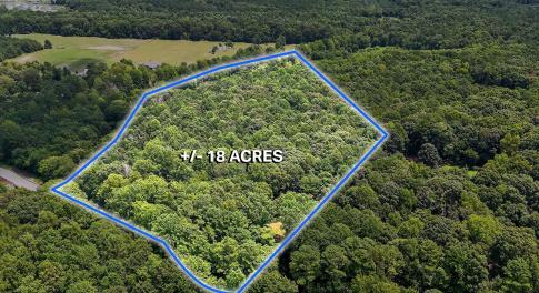 2-web-or-mls-DJI_20250730130638_0617_D-L