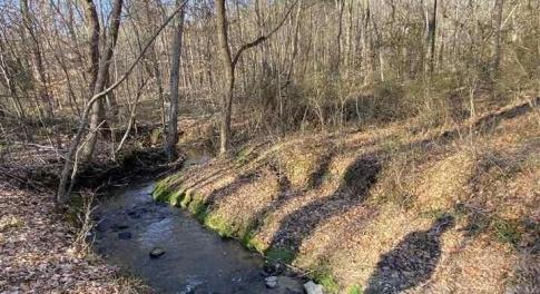 ROLLING CREEK DR-PIC OF CREEK