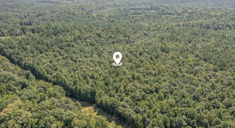 dji_0088-edit-edit_80