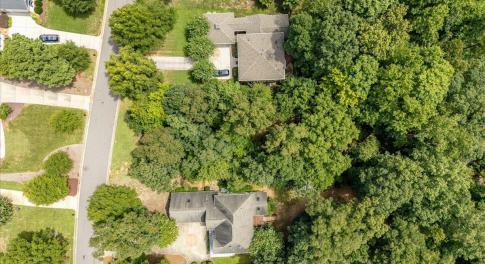 02-244 Brown Bear Drone-12