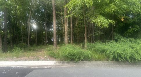 52FE1F68-7AD3-48E2-91D4-53C163EA4A73