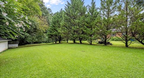 13-web-or-mls-P1078528