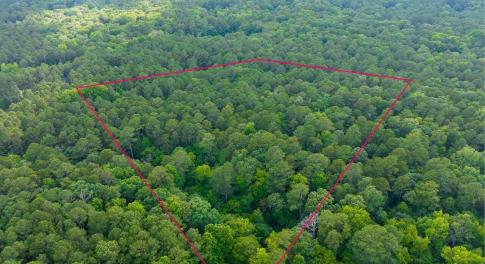 001-105Pennington-Lot64-Windfall-2025061