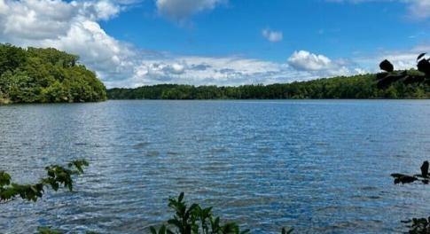 LOT 3 GRAPEVINE DR-VIEW FROM LOT 2