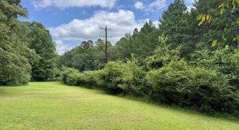 Old Oxford Rd. - Front Yard