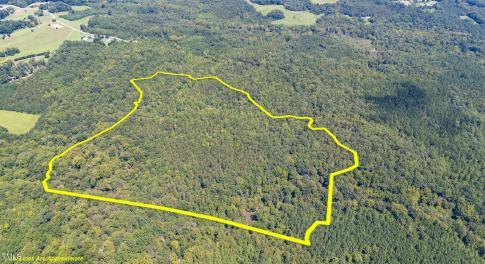 1312 Chigger Ridge Road-Drone-2-LOT