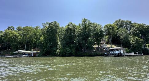 Lake view