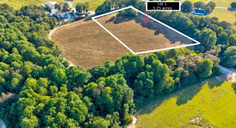 14-Mockingbird Ln-59