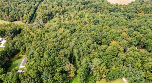 4-web-or-mls-1455 Dimmocks Mill (2 of 7)