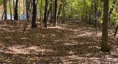 234 Hillcrest Lane Photo 1