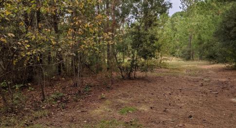 PXL_20251010_170347972