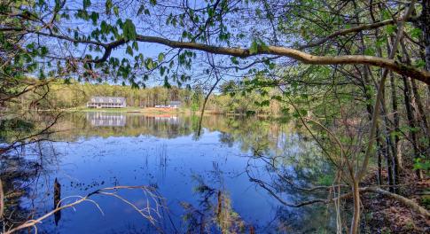 Water view