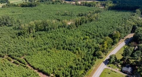 20-print-Walter-Grissom-Lot-20