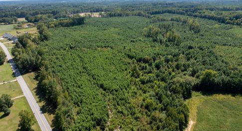 7-print-Walter-Grissom-Lot-7