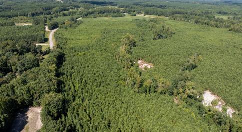 26-print-Walter-Grissom-Lot-26