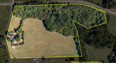 81 Little Creek Ln-Lot Size