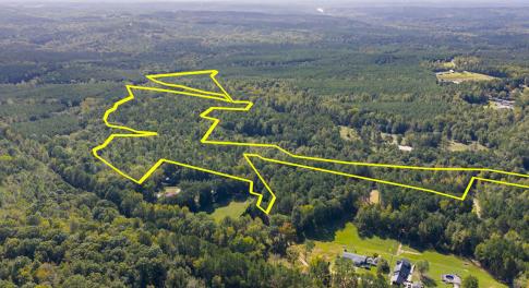 262EllisRd-005_Lines