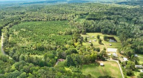 Screenshot 2025-11-16 143251