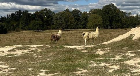 424beb44-ba41-4949-a97b-2e5865e04ac7