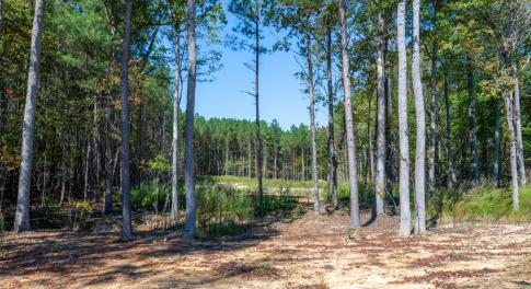 Walk-through the of the property