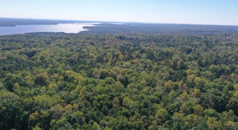 1_photo--gallup-road