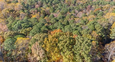 6-web-or-mls-DJI_20251106141438_0618_D