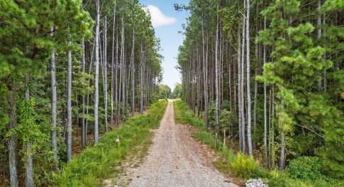 1-web-or-mls-007_DJI_20250915095449_0062