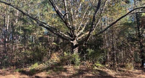 999 White Cross Rd - Photo 1