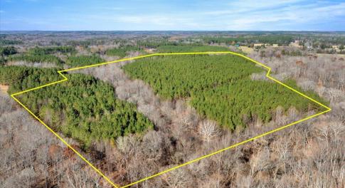 01-DJI_20251124121431_0798_D with lines