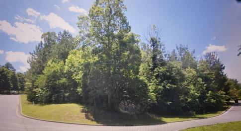 WhatsApp Image 2025-11-30 at 5.17.31 PM