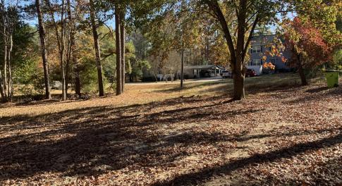 133 Green Back view 1