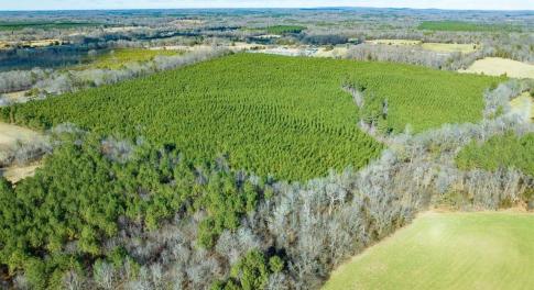 02-002-WillBrownRd-Chatham-Parcel-997