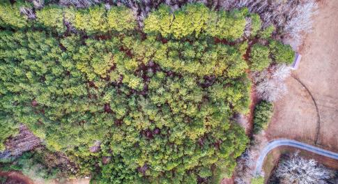 24-web-or-mls-Kendall Lane-Lot C (24 of