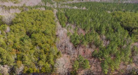 DJI_0088-Edit