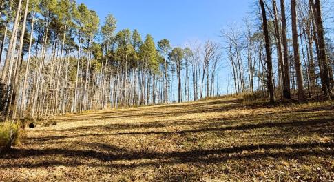IMG_0305