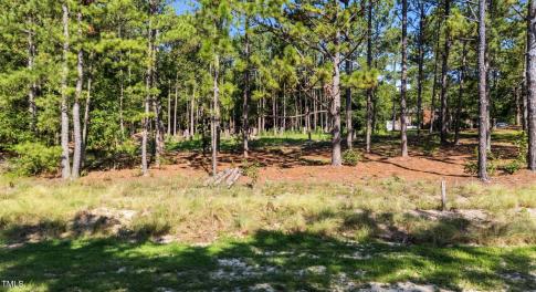 1-web-or-mls-DJI_20250721094756_0199_D