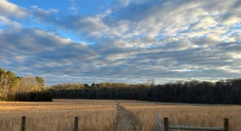 MainMeadow 6061RiverRun