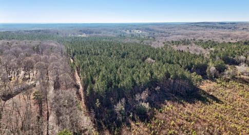 10-web-or-mls-Dewitt Smith Rd-010