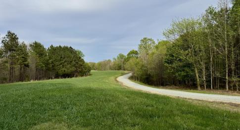12101 - Driveway and Pasture