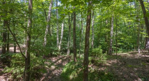 4519_Chicopee_MLS-7
