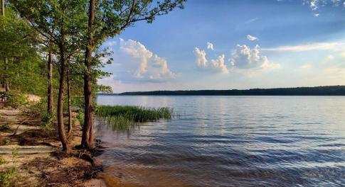 3) 67555-698b9a7787676