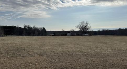 The Meadow Lot 10