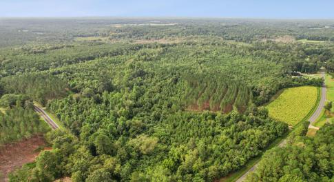 1-print-DJI_0020