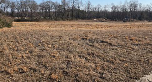 Front field Landscape