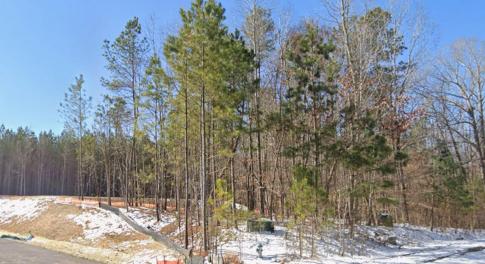 Corner of lot 100 - snow