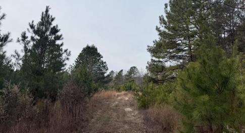 DE8D63EA-FCEE-41D3-B12D-38D169F81DDB_1_1