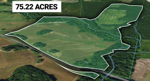 5-536-White-Oak-Rd-Acres-02