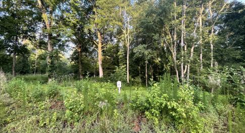 IMG_4032