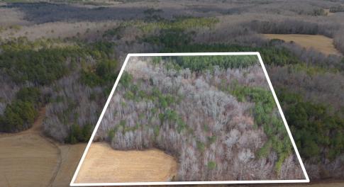 48-web-or-mls-DJI_20260223124407_0081_D_